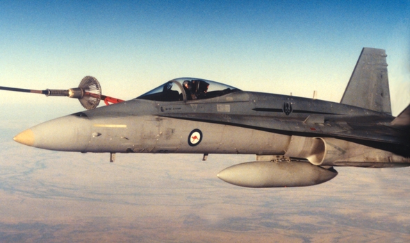 hornet