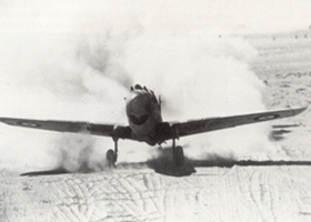 p40