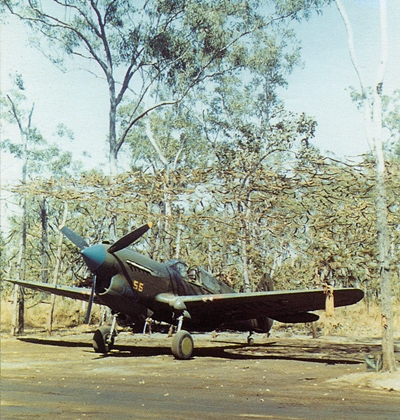 kittyhawk Strauss