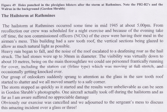 Hail damage at Rathmines Hail damage at Rathmines